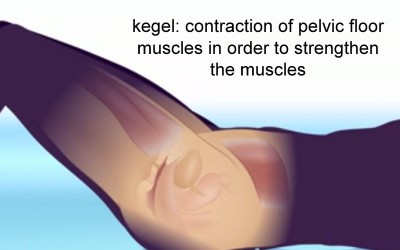 kegel exercises for strengthening pelvic floor