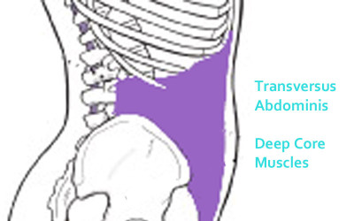 transversus abdominus strenthening for core control and stress urinary incontinence prevention